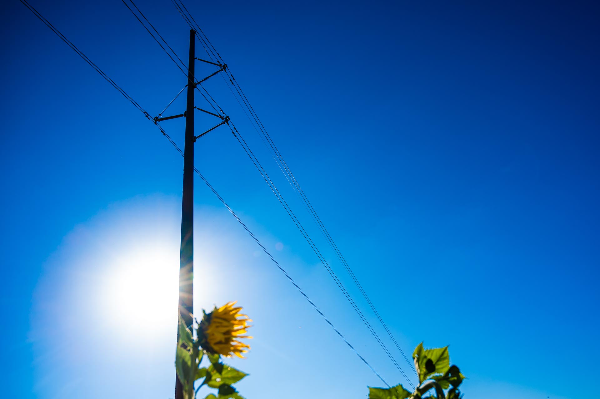 COVENTRY TO HAGER 120kV REBUILD